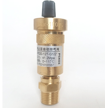 ZP21A